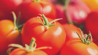 5 Manfaat Tomat untuk Kesehatan Tubuh, Bisa Mencegah Kanker - GenPI.co JATENG