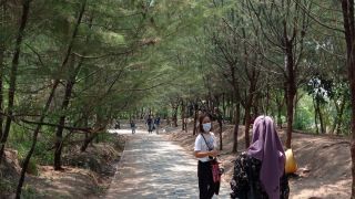 Hutan Mangrove Wonorejo Surabaya, Cocok untuk Lepas Penat - GenPI.co JATIM