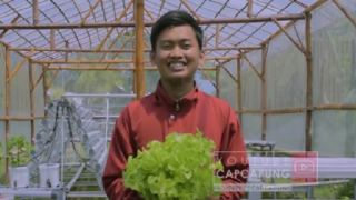 Keren! Mahasiswa di Yogyakarta Ini Sukses Jadi Petani Hidroponik - GenPI.co JOGJA