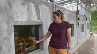 Awalnya Hobi Ikan Koi, Ni Kadek Sri Dewi Dapat Omzet Rp 100 Juta Sebulan - GenPI.co NTB