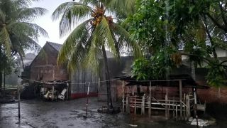 4 Warga Lombok Tengah Tersambar Petir, 2 Meninggal - GenPI.co NTB