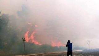 Karhuta di Riau, BPBD Catat Sudah Hanguskan 131,44 Hektare Lahan - GenPI.co RIAU
