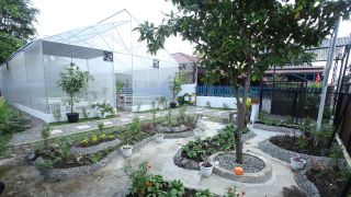 BRI Peduli Dukung Kegiatan Bertani di Kota Medan - GenPI.co SULTRA