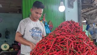 Pengamat Sebut Harga Cabai Sumut Rendah Karena Petani Terlalu Optimistis - GenPI.co SUMUT