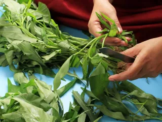 3 Makanan Tinggi Antioksidan yang Wajib Dikonsumsi, Cegah Penyakit Kronis - GenPI.co JATIM