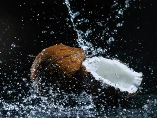Kelapa Diklaim Bisa Turunkan Gula Darah dan Berat Badan, Begini Kata Penelitian - GenPI.co BANTEN