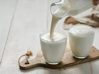 Bisakah Yogurt Mengurangi Risiko Diabetes Tipe 2? - GenPI.co KALBAR