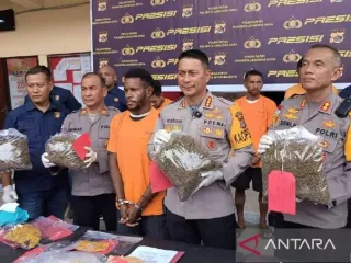 Penyelundup 2,7 Kg Ganja dari Papua Nugini Ditangkap Polisi di Argapura - GenPI.co KALBAR