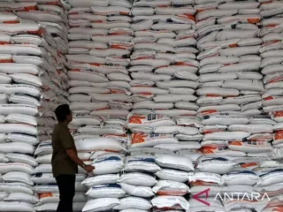 Stok Beras RI Tembus 3,7 Juta Ton, Terproduktif di ASEAN dan Tertinggi Sejak 1969 - GenPI.co