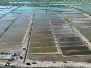 Pemerintah Longgarkan Impor Garam Hingga Industri Siap 2027 - GenPI.co KEPRI