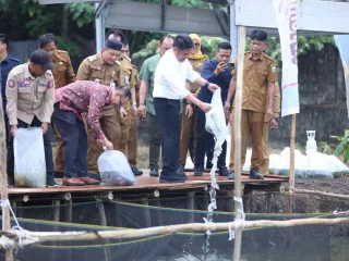 Sumsel Pelopor Inovasi Ketahanan Pangan, GSMP Terus Berkembang dan Ditiru Daerah Lain - GenPI.co JATIM