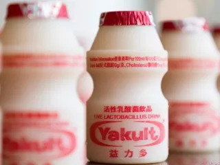 Apakah Minuman Yakult Aman Dikonsumsi Ibu Hamil dan Menyusui? 