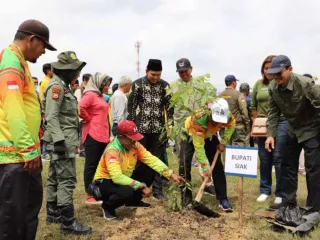 Dongkrak Ekonomi, DLHK Riau Bagikan 10 Ribu Bibit Pohon di Siak - GenPI.co