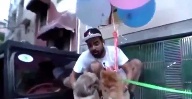 Anjing Diterbangkan dengan Balon, YouTuber India Ditahan Polisi