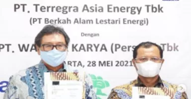 Yes! Waskita Karya Kantongi Kontrak Pembangunan PLTM Batang Toru