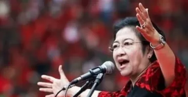 Relawan Jokowi Beber PDIP: Megawati Tak Bakal Melawan Rakyat