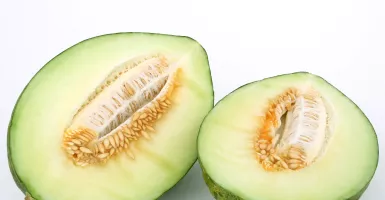 Rutin Makan Buah Melon Ternyata Wow Banget, Khasiatnya Luar Biasa