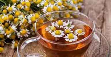 Minum Teh Chamomile dan 3 Jenis Teh ini Ampuh atasi Maag, Mujarab