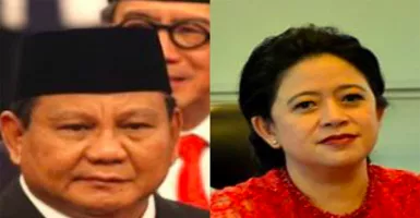 Mengejutkan! Prabowo-Puan Pasangan Paling Ideal di Pilpres 2024