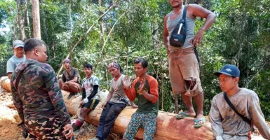 KLHK Hentikan Ilegal Loging di Suaka Margasatwa Riau