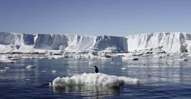 Bahaya! Ada Ancaman Nyata dari Kutub Utara, Dunia Wajib Waspada