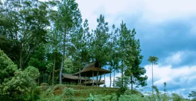 Kampung Tajur Tawarkan Sensasi Homestay Berbeda, Dijamin Puas