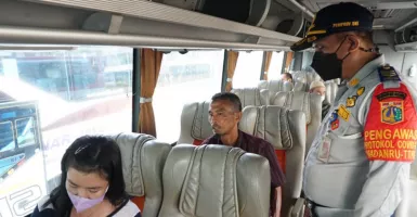 4 Kode Sopir Jika Ada Copet di Bus, Penumpang Wajib Tahu