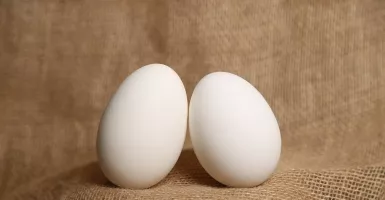 Suami Minum Campuran Telur Bebek dan Madu, Istri Pasti Ketagihan