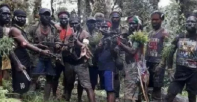 KKB di Papua Makin Kejam, 23 Orang Tewas