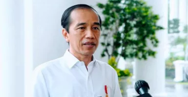 Ketua ProDem: Pak Jokowi, Kalau Bohong, Jangan Kebangetan