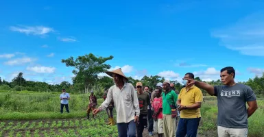 Berdayakan Pertanian Papua, PKT Gerakkan 4 Program Berkelanjutan