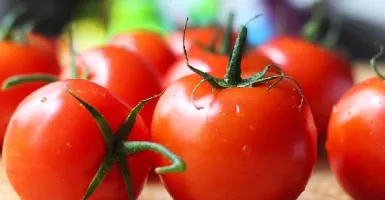 Khasiat Mengonsumsi Tomat Ternyata Sangat Dahsyat, Wow Banget