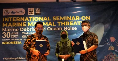 Gandeng WWF, Pemerintah Fokus Kelola Sumber Daya Laut