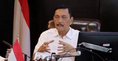 Pakar Hukum Sentil Pernyataan Luhut Pandjaitan, Sebut Jokowi