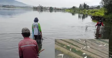 Fenomena Semburan Belerang di Danau Batur Bali, Ribuan Ikan Mati
