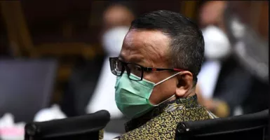 Hari Ini Edhy Prabowo Divonis, Pakar: Hukuman Tidak Maksimal