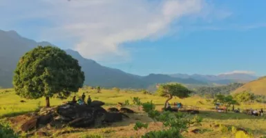 Serpihan Surga di Bukit Kolang Mokko, Keindahan Tiada Duanya
