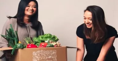 Wanita Cantik Suka Berkebun, Amanda Kini Sukses Bisnis Sayurbox