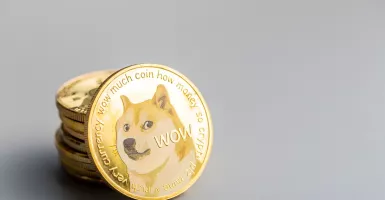 Guys, Pernyataan Pencipta Dogecoin Mengejutkan Pencinta Kripto