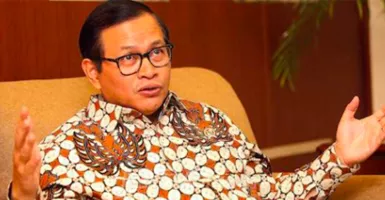 Pramono Anung Cocok Jadi Jubir Presiden