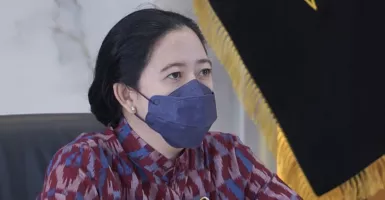Pengamat Bongkar Loyalis Jokowi Tak Suka Cara Main Puan Maharani