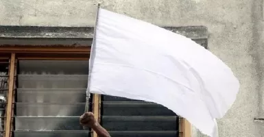 Bendera Putih Berkibar di Berbagai Daerah, Pengamat Kritisi Tajam