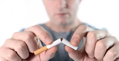 Wow, Produk Tembakau Alternatif Disebut Turunkan Risiko Rokok