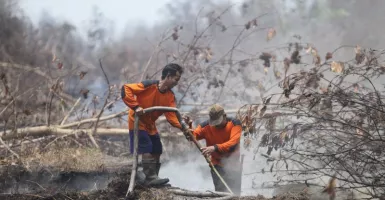 Kebakaran 2 Hektare Lahan di Bintan, Diduga Sengaja Dibakar