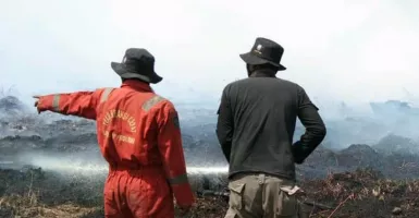Empat Hektare Lahan di Kabupaten Ogan Ilir Sumsel Terbakar