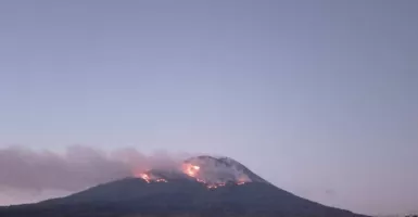 Waspada, Kebakaran Vegetasi Akibat Muntahan Lava Pijar Terjadi