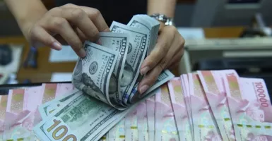 Dolar AS Membara, Mata Uang Lain Digilas Habis