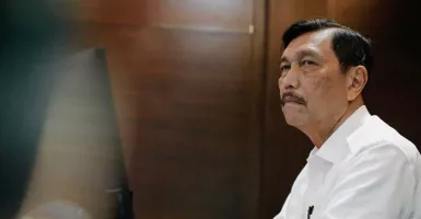 Anggota DPR RI Seret Luhut Pandjaitan, Ferdinand Hutahaean Ikut..
