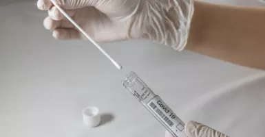 Tarif PCR di Kimia Farma Resmi Turun Jadi Rp 495 Ribu