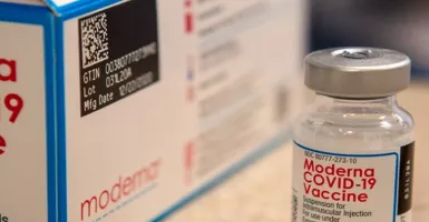 Studi: Vaksin Moderna Efektif, Miliki Tingkat Antibodi Tinggi